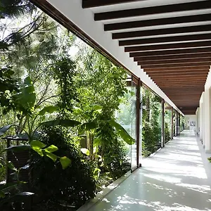 3* Hotel The Lifeco Bodrum Well-being Detox Center And Vegan (adults Only)